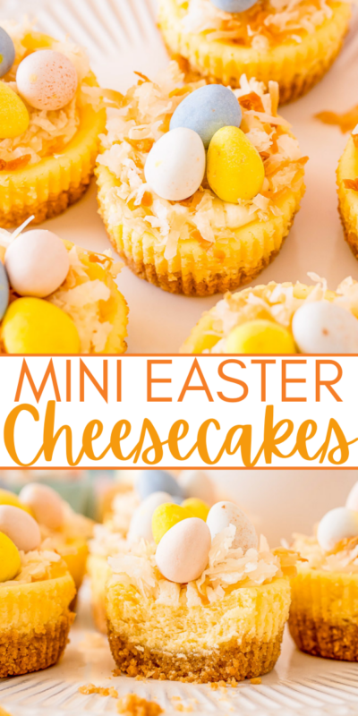 Super Cute Mini Easter Cheesecake Bites Averie Cooks