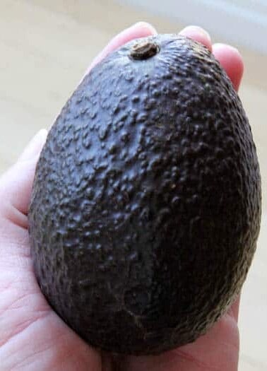 Hand holding one avocado