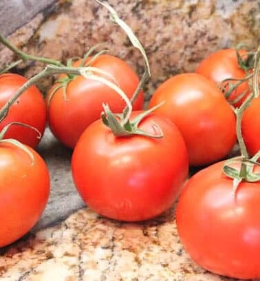 Vine ripped tomatoes