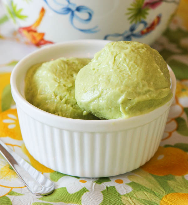 10 Ninja Creami Recipes (Healthy & Tasty!) - Gurl Gone Green