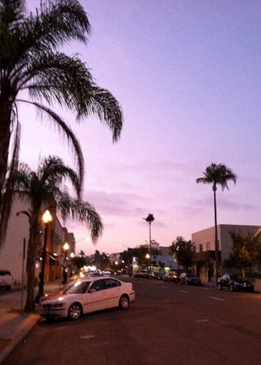 A quiet street lined with palm trees under a purple twilight sky.