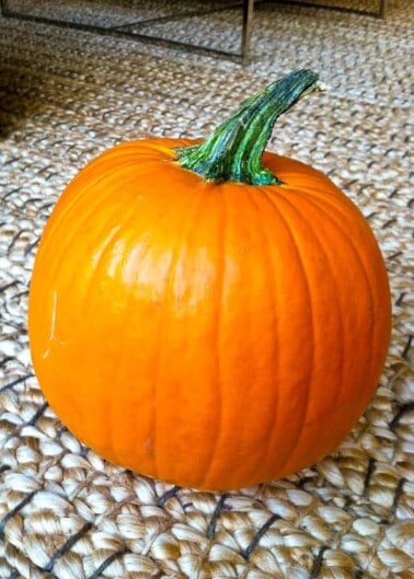 Pumpkin