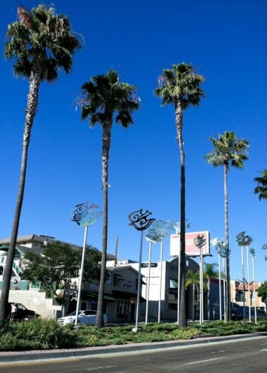 Palm trees and artistic banners line a sunny urban street.