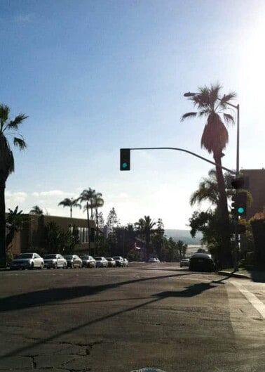 Sunny street scene with palm trees and traffic lights.