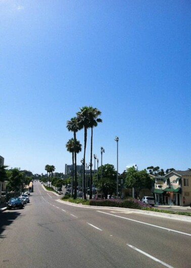 Sunny street view with palm trees and clear blue sky.