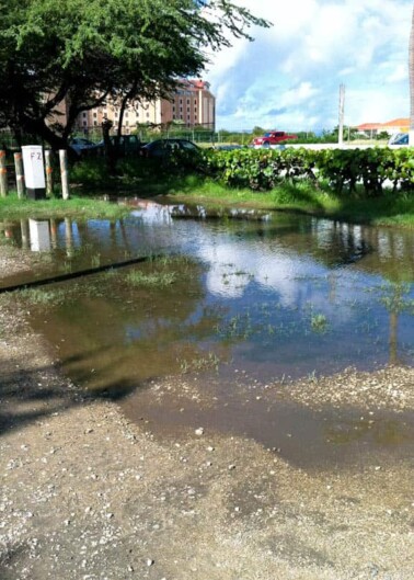 A flooded urban area with standing water on pavement and grass.