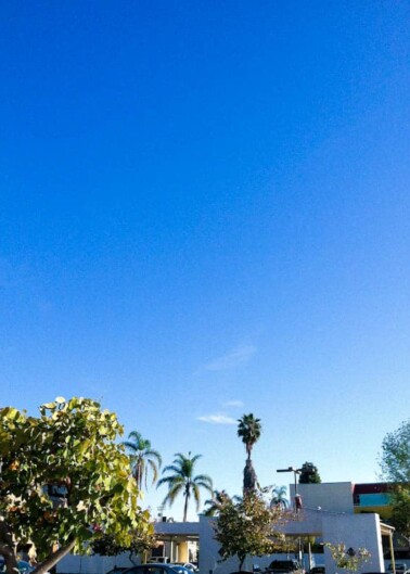 Clear blue sky over a suburban landscape with palm trees and rooftops.