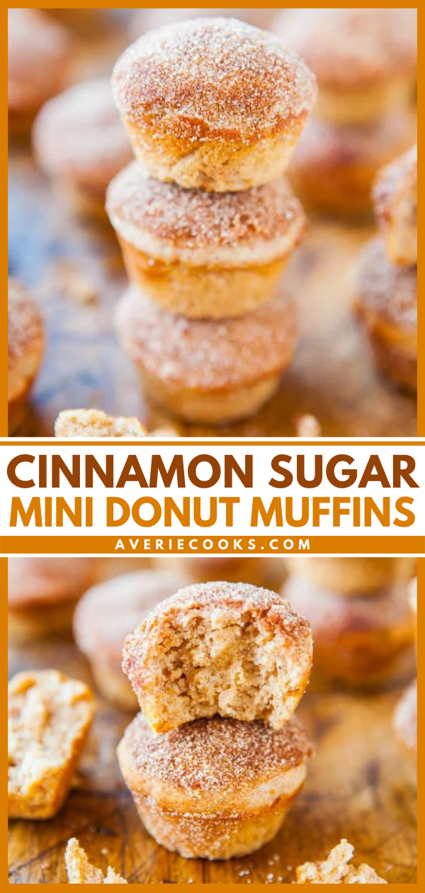 Cinnamon Sugar Mini Donuts - Tornadough Alli