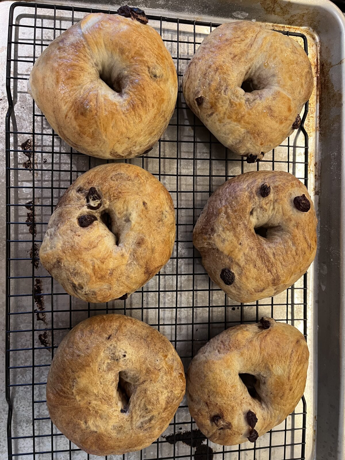 Six freshly baked raisin bagels resting on a cooling rack.