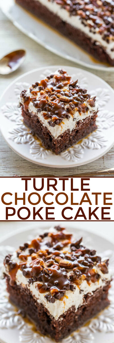 Shortcut Turtle Cake Recipe (So Easy!) - Averie Cooks