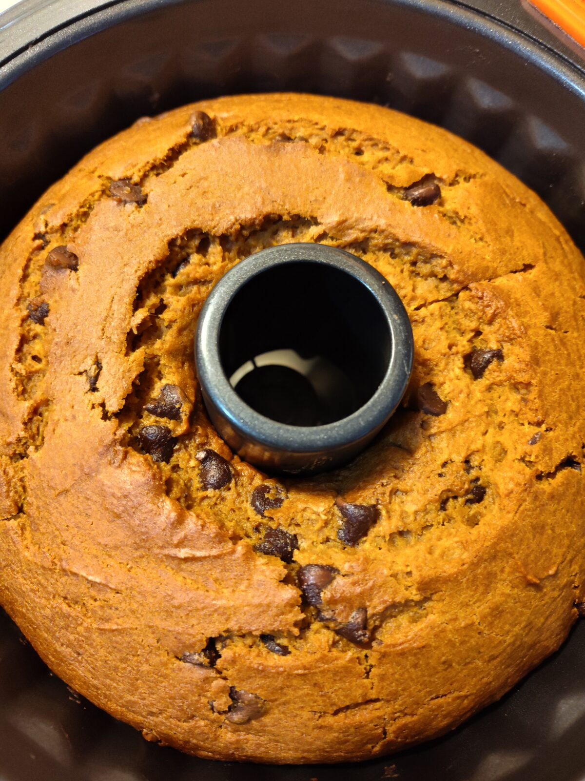 A freshly baked chocolate chip bundt cake in a pan.