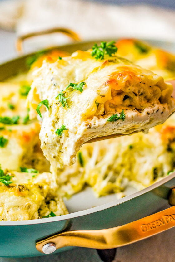 Chicken Alfredo Lasagna Rolls - Averie Cooks