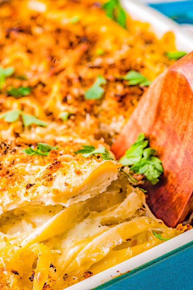 Close-up of a baked dish with creamy pasta, topped with herbs and breadcrumbs. A wooden spoon is partially visible beside the dish.