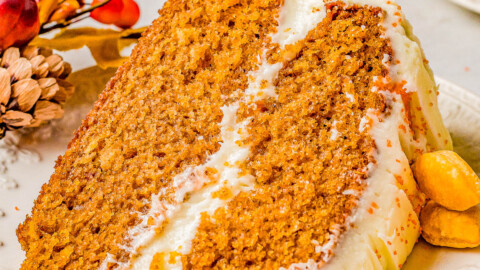 Spice Cake with Cream Cheese Frosting – Celebrate the cozy flavors of the fall and winter holiday season with this soft, moist, and richly spiced layer cake! Complete with scrumptious homemade cream cheese frosting, this classic spice cake is what holiday dessert dreams are made of! Serve it as your Thanksgiving or Christmas dessert centerpiece and your family will ask for it every year!