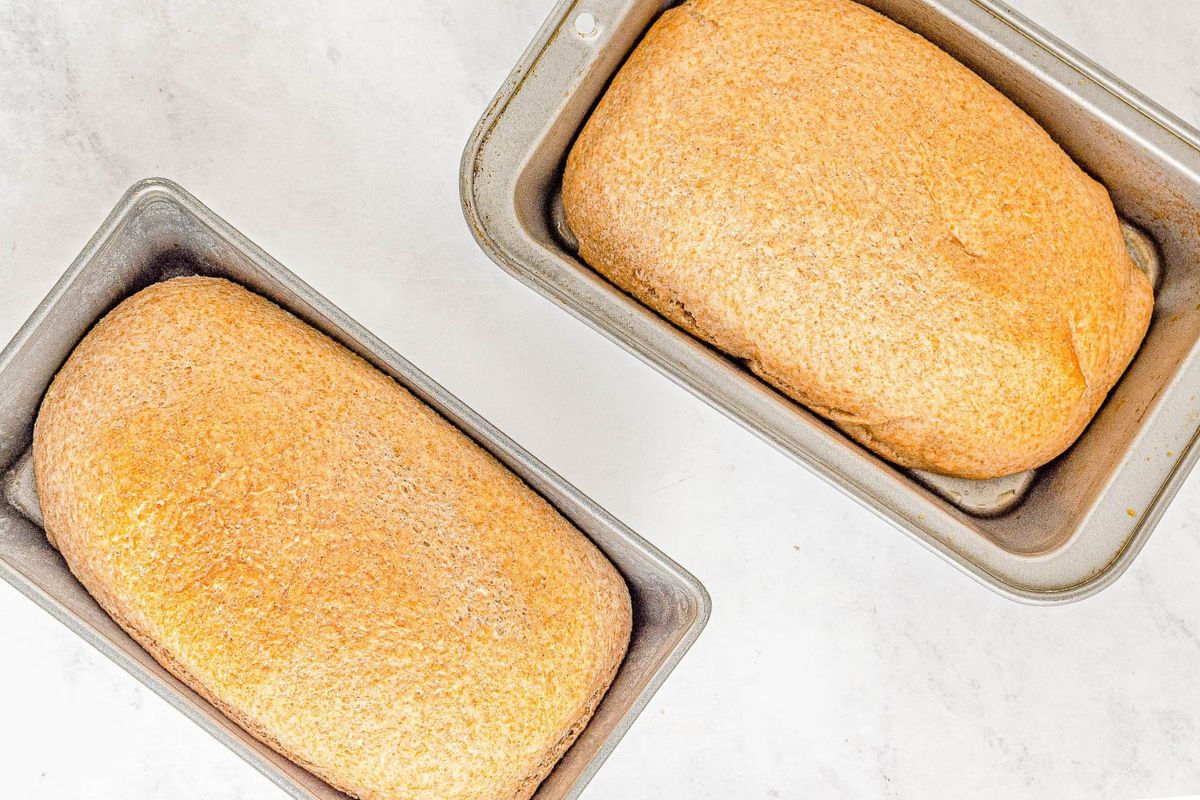 The 10 Best Loaf Pans, Tested and Reviewed