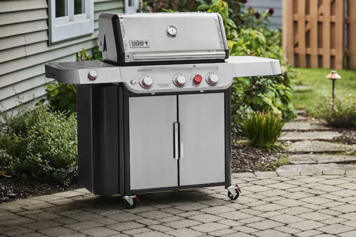 Best grills for beginners