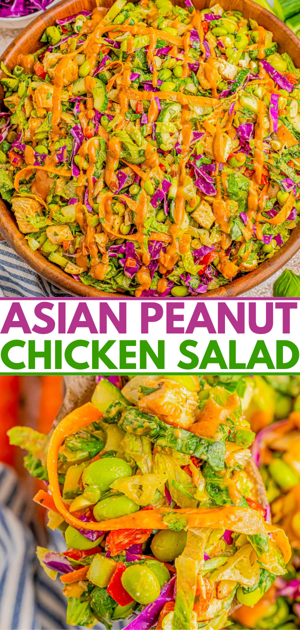 A vibrant Asian peanut chicken salad topped with a drizzle of peanut sauce. The salad contains chicken, vegetables, greens, and peanuts, creating a colorful and appetizing dish.