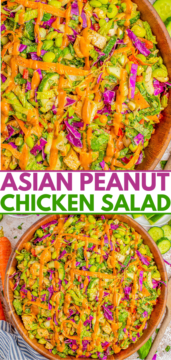 A colorful bowl of Asian Peanut Chicken Salad with vibrant vegetables and drizzled peanut sauce.