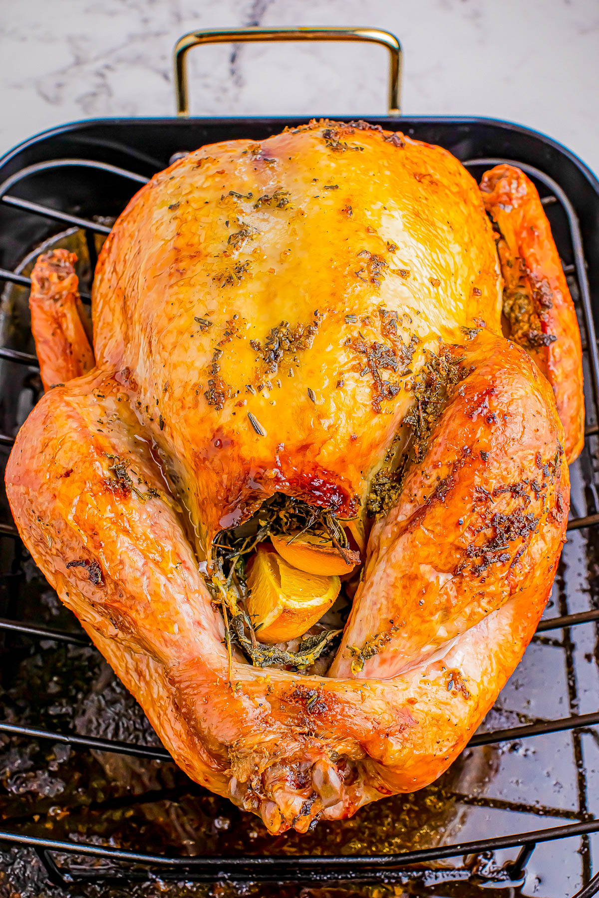 A roasted turkey garnished with herbs and stuffed with sliced citrus sits in a roasting pan.