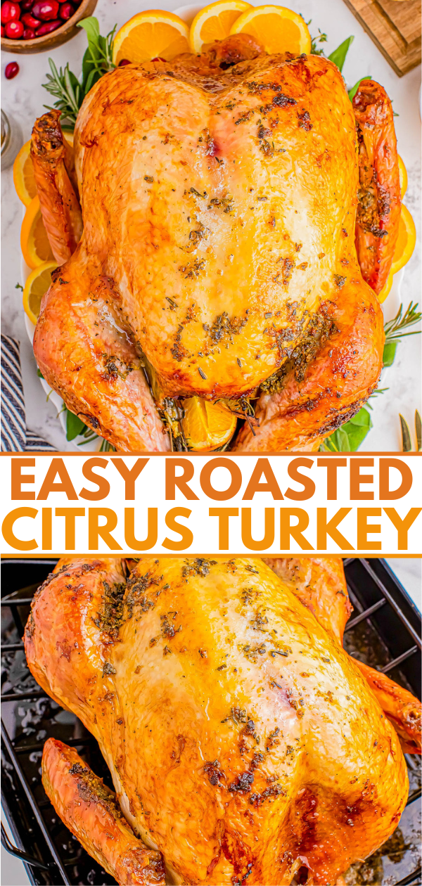 A roasted turkey surrounded by sliced oranges and herbs on a platter, with the text "Easy Roasted Citrus Turkey" in bold orange letters.