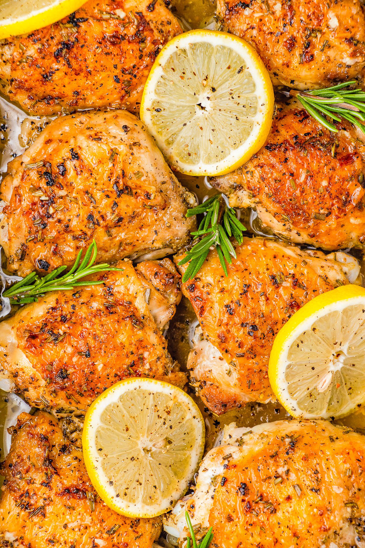 Roasted chicken thighs with lemon slices and rosemary sprigs, featuring golden-brown, seasoned skin.