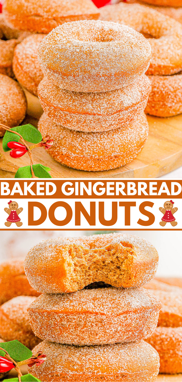 A stack of sugar-coated baked gingerbread donuts, one with a bite taken out, surrounded by small red berries and leaves.