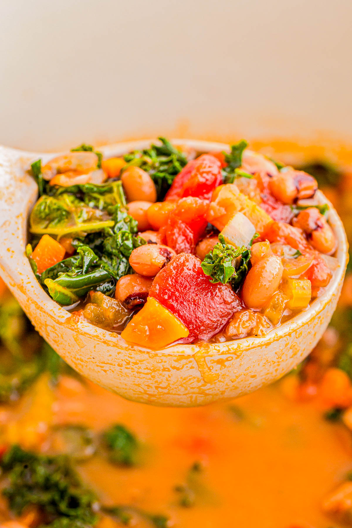 Close-up of a ladle holding a colorful vegetable soup with beans, kale, tomatoes, and other chopped vegetables.