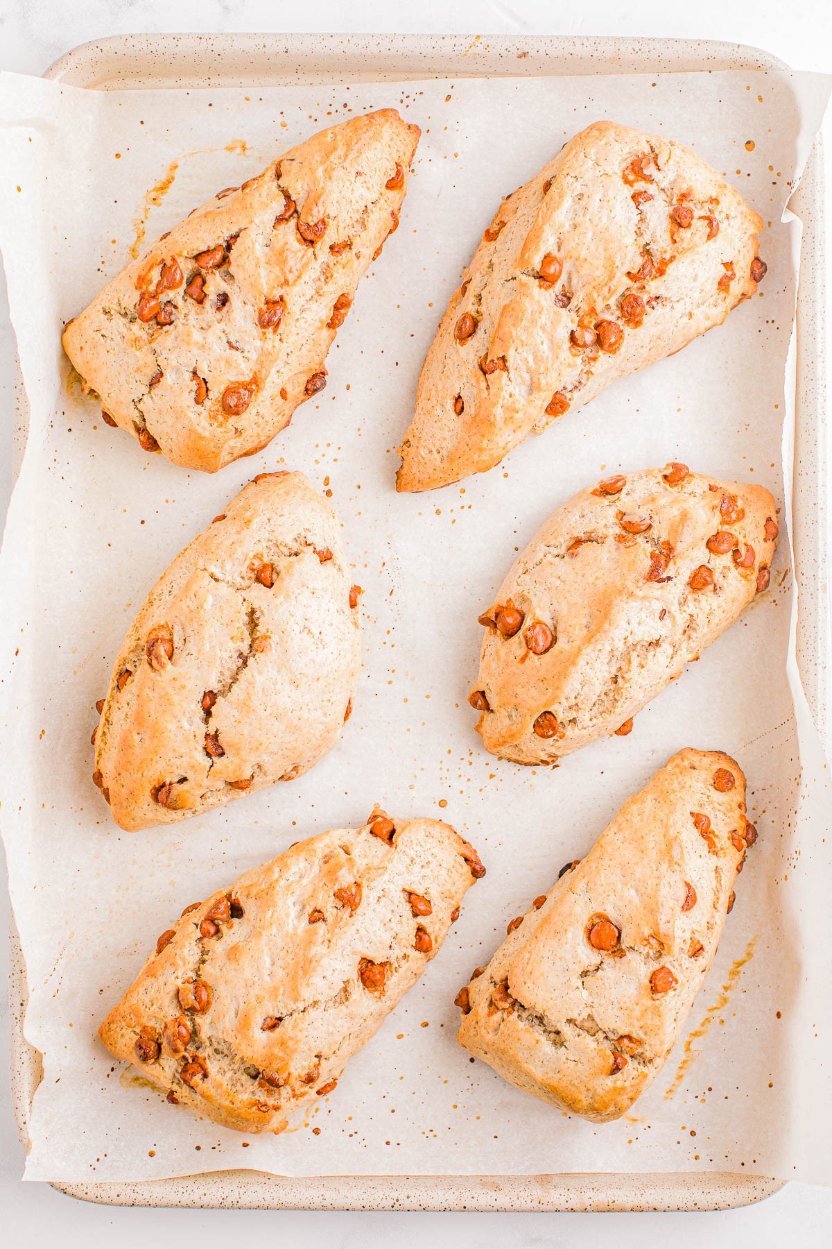 A baking tray with six freshly baked triangular scones studded with chocolate chips on parchment paper.